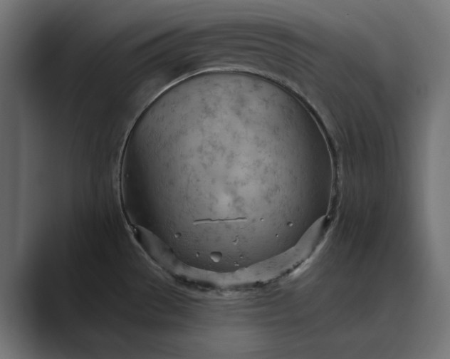 X0000089381529200706291308