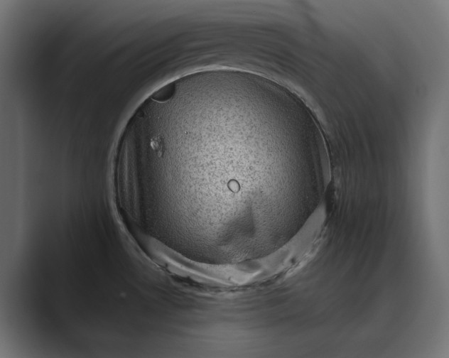 X0000089381530200706291308