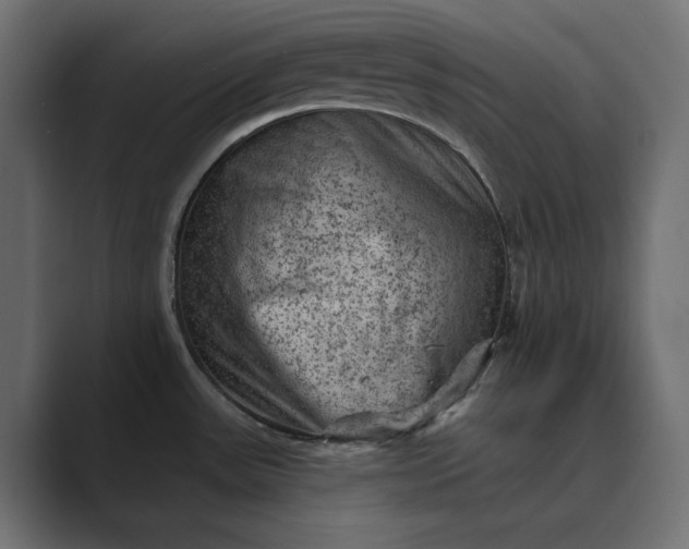 X0000089381531200706291308