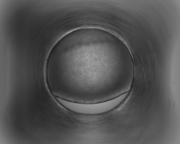 X0000089381533200706291308