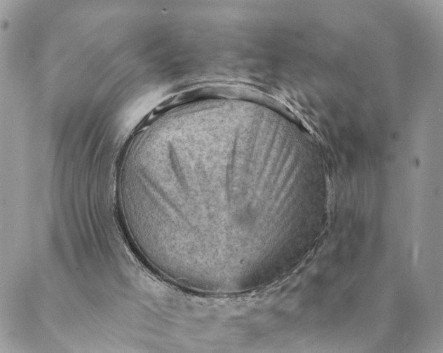 X0000089380005200707061150