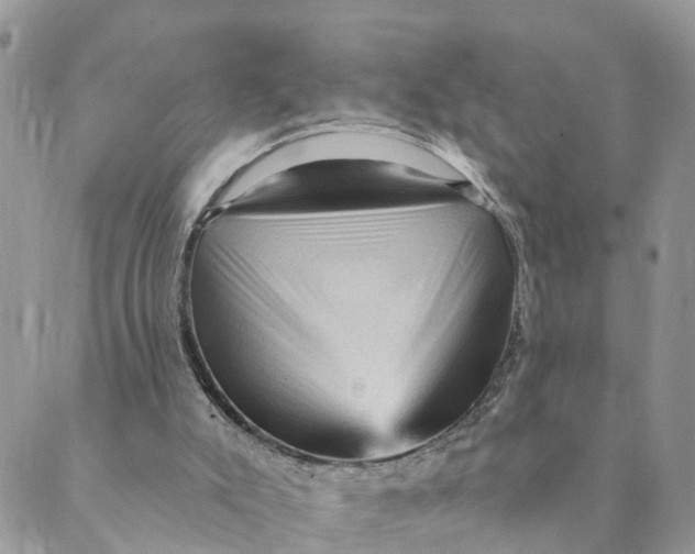 X0000089380007200707061150