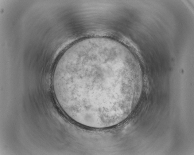 X0000089380012200707061150