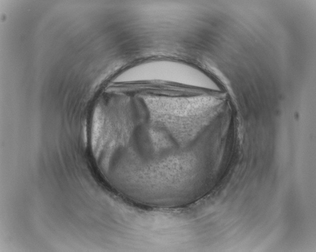 X0000089380020200707061150