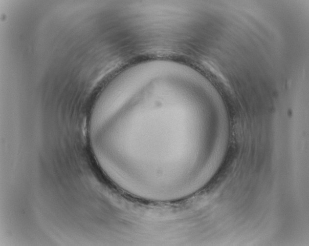 X0000089380024200707061150