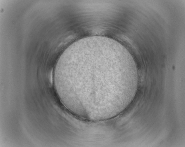 X0000089380028200707061150