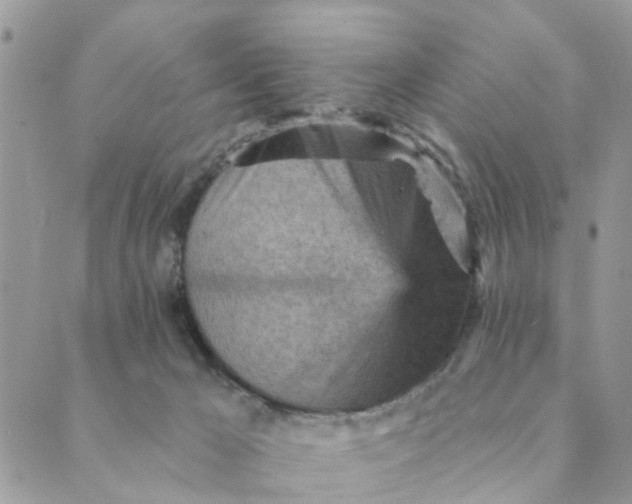 X0000089380029200707061150