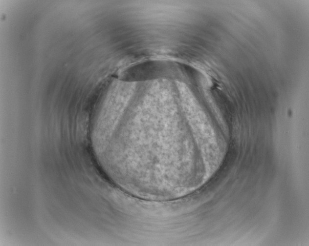 X0000089380030200707061150