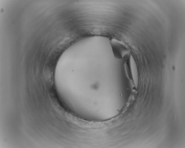 X0000089380031200707061150