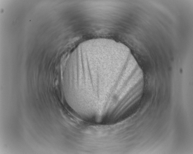 X0000089380033200707061150