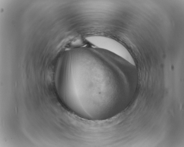 X0000089380035200707061150