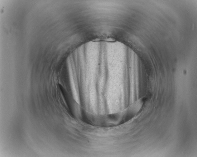 X0000089380037200707061150