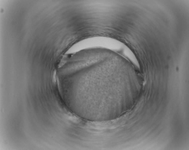 X0000089380041200707061150