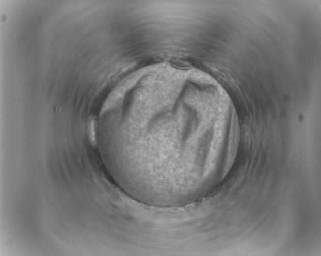 X0000089380042200707061150