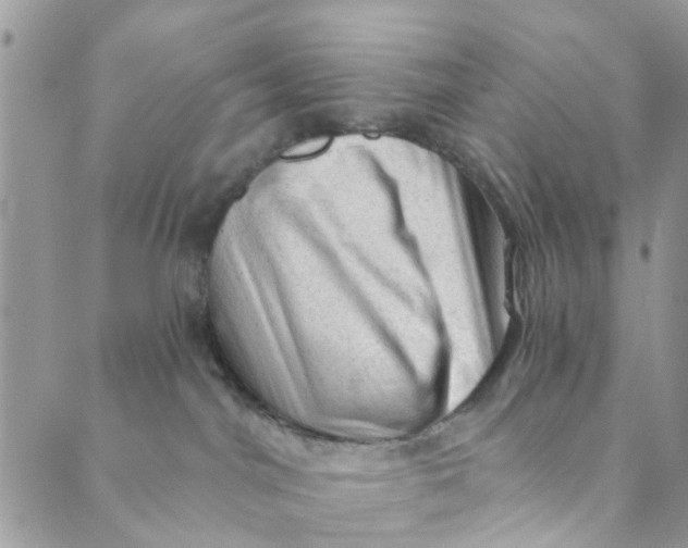 X0000089380044200707061150