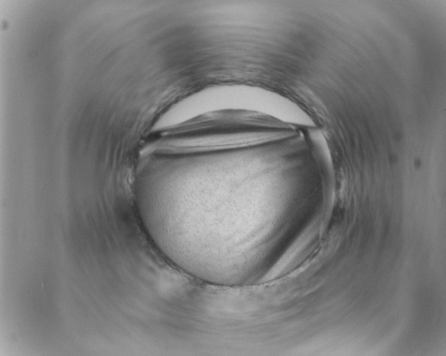 X0000089380045200707061150