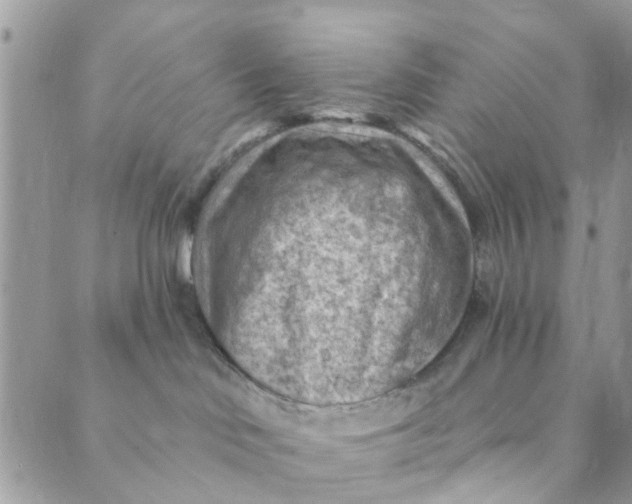 X0000089380046200707061150