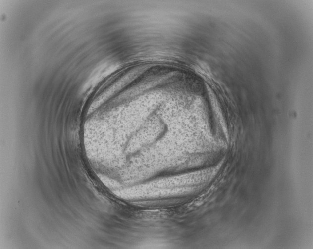 X0000089380050200707061149