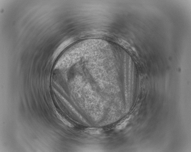 X0000089380051200707061149