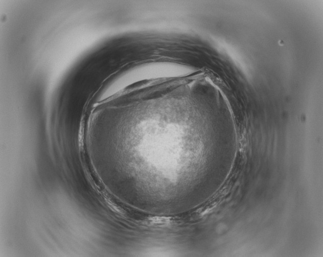 X0000089380052200707061149