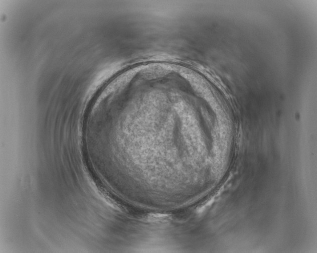 X0000089380055200707061149