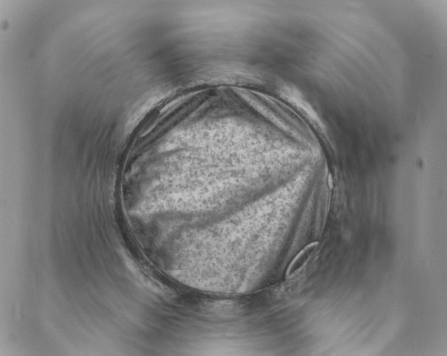 X0000089380058200707061149