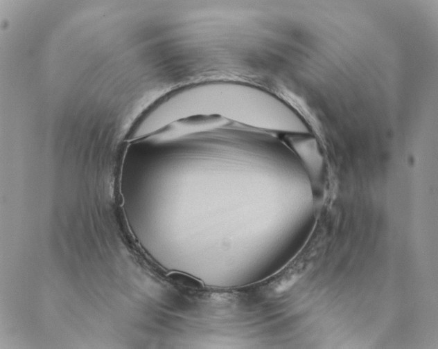 X0000089380060200707061149