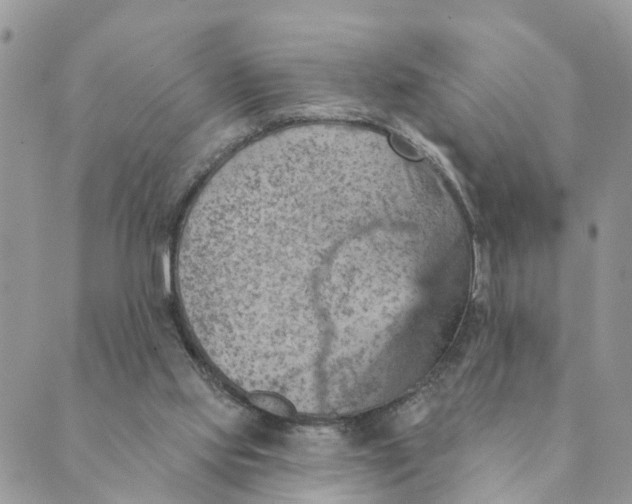 X0000089380061200707061149