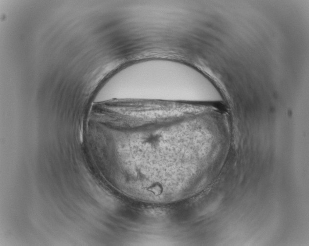 X0000089380062200707061149