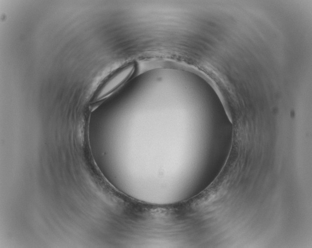 X0000089380064200707061149