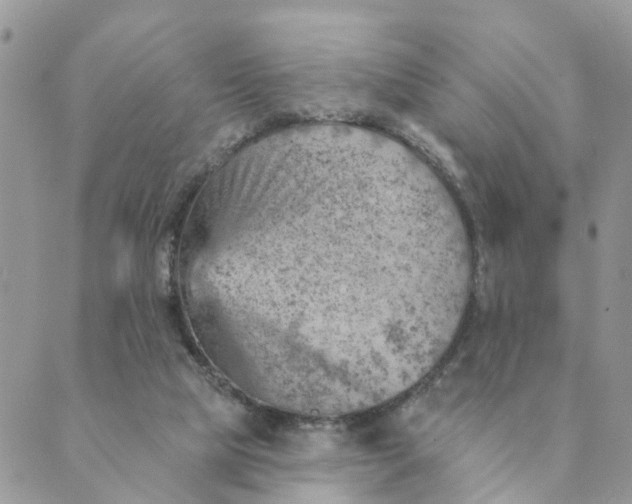 X0000089380065200707061149