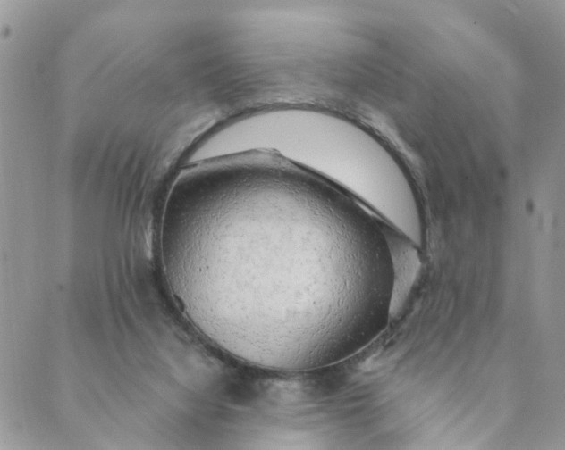 X0000089380068200707061149