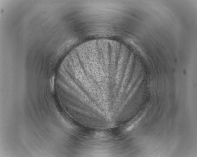 X0000089380070200707061149