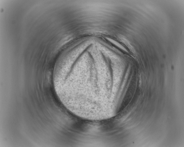 X0000089380071200707061149