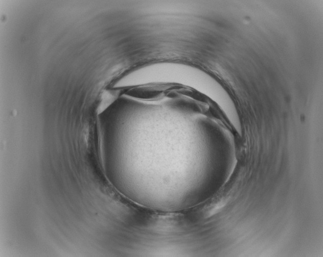 X0000089380072200707061149