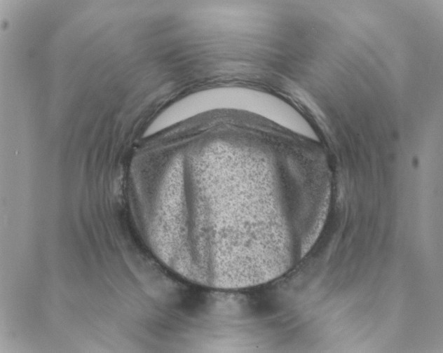 X0000089380073200707061149