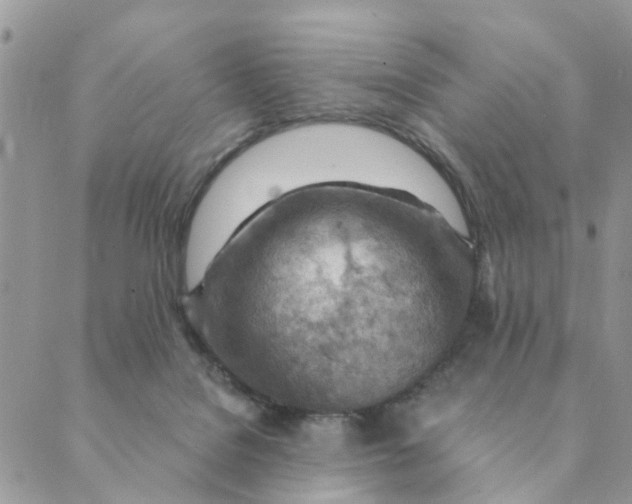 X0000089380076200707061149