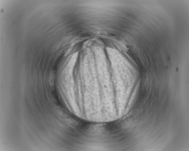 X0000089380078200707061149