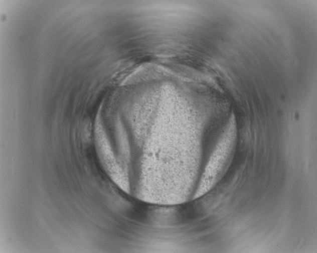 X0000089380081200707061149