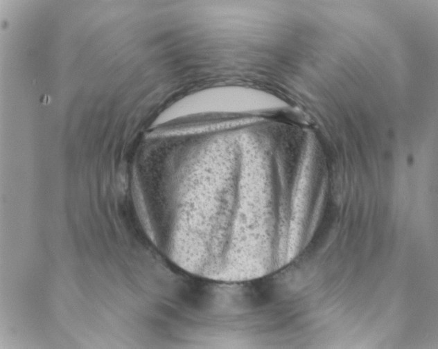 X0000089380085200707061149