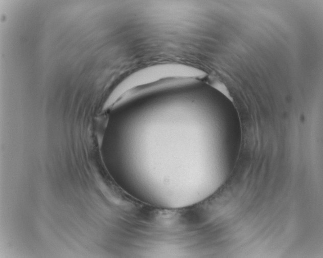 X0000089380088200707061149