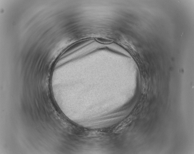 X0000089380098200707061149