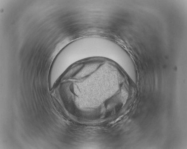 X0000089380099200707061149