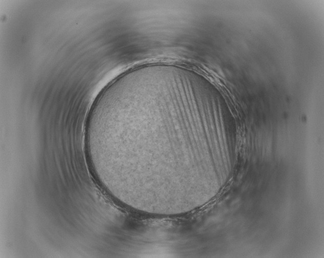 X0000089380100200707061149