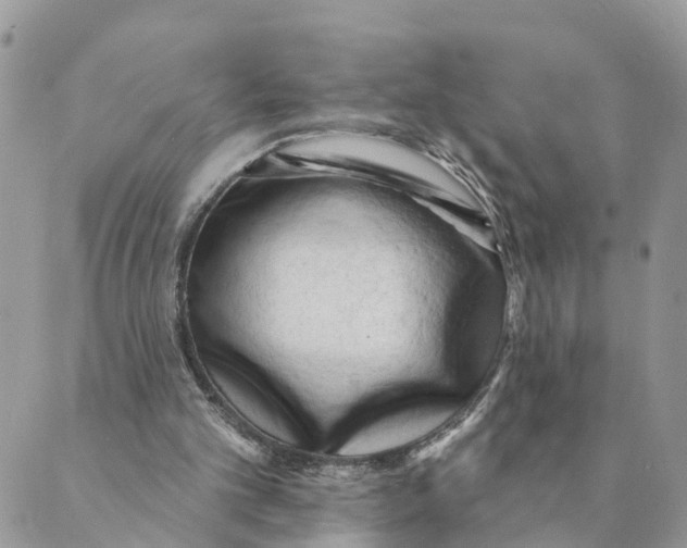 X0000089380101200707061149