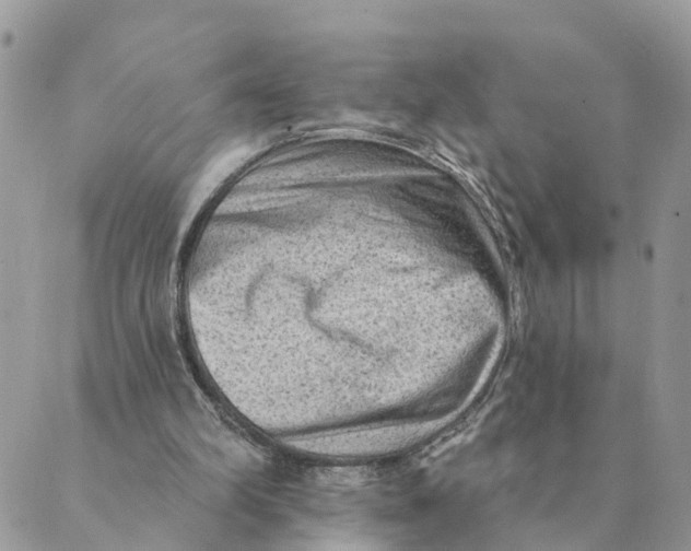 X0000089380102200707061149