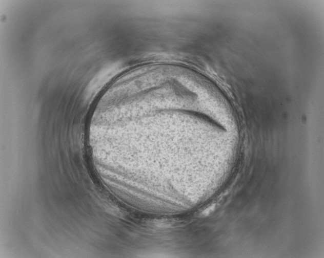 X0000089380103200707061149