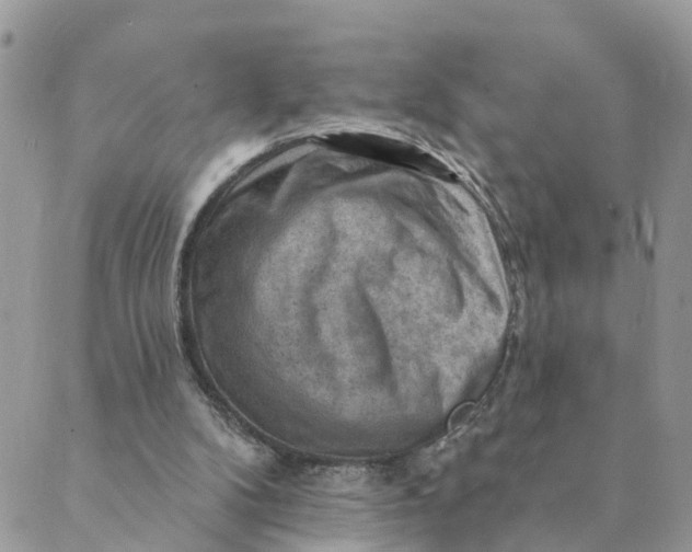 X0000089380104200707061149