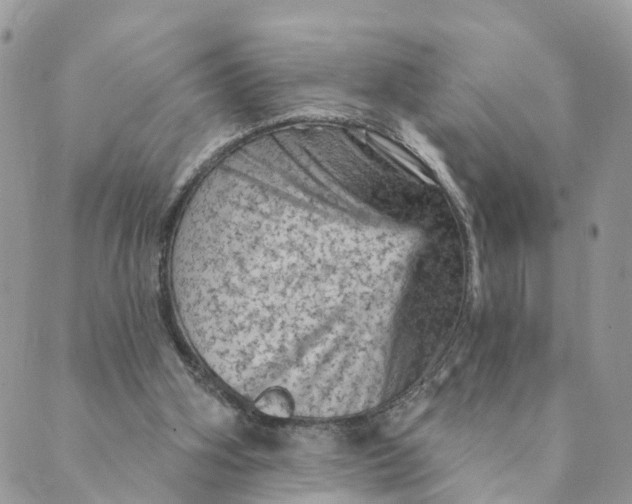 X0000089380106200707061149