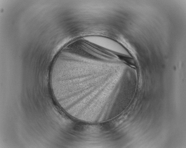 X0000089380107200707061149